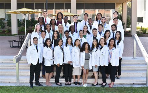 ucla medical program|ucla medical school stand out.